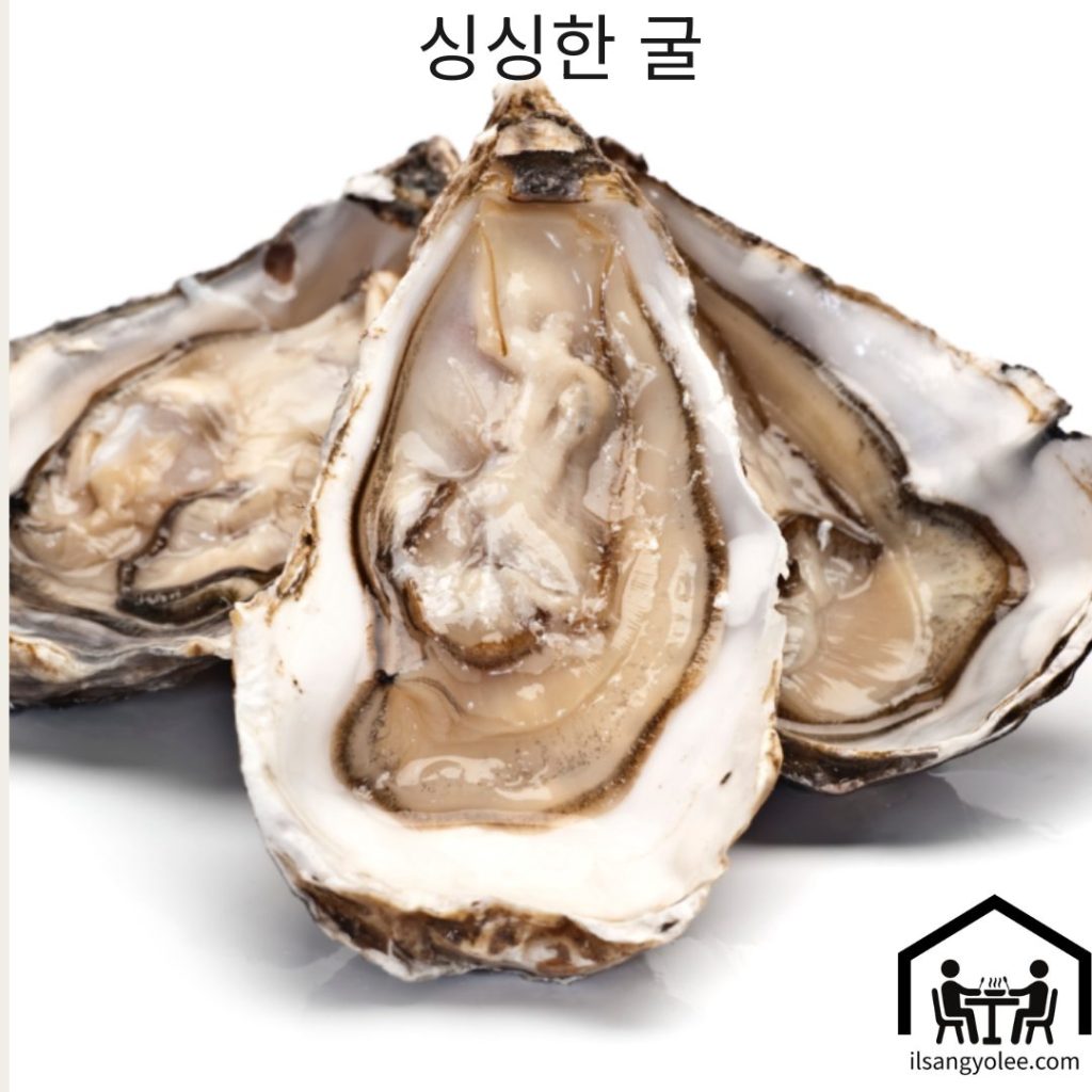 신선한 굴 여러 개가 가지런히 놓여 있는 모습 