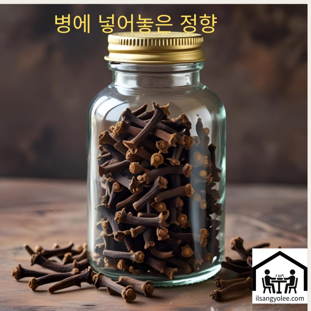 정향을 이용한 스테이크