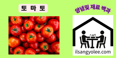 🍅 토마토: 맛과 영양을 겸비한 팔방미인 식재료 완벽 해부