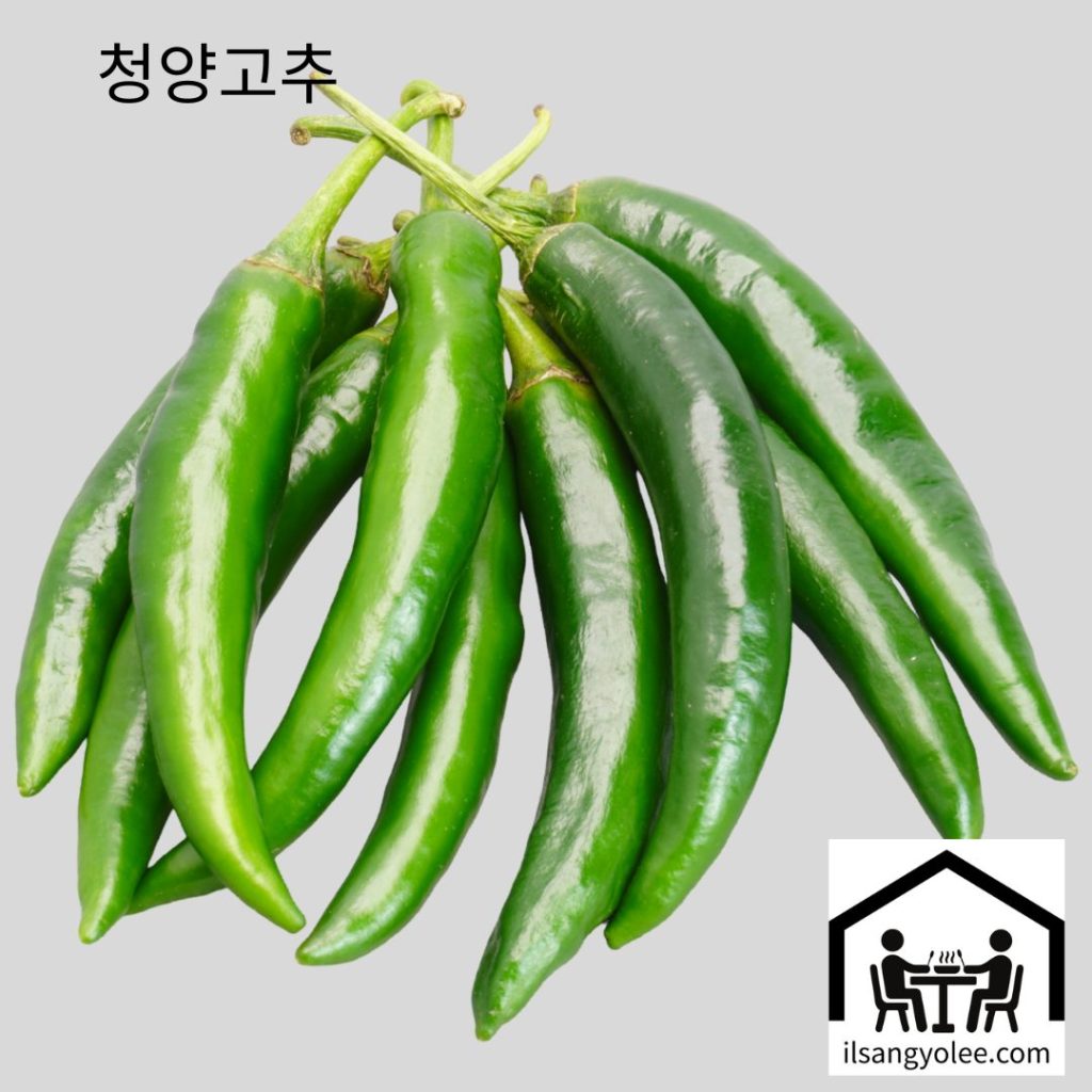 신선한 청양고추 클로즈업. 맑고 푸른 색감과 단단한 질감이 돋보인다