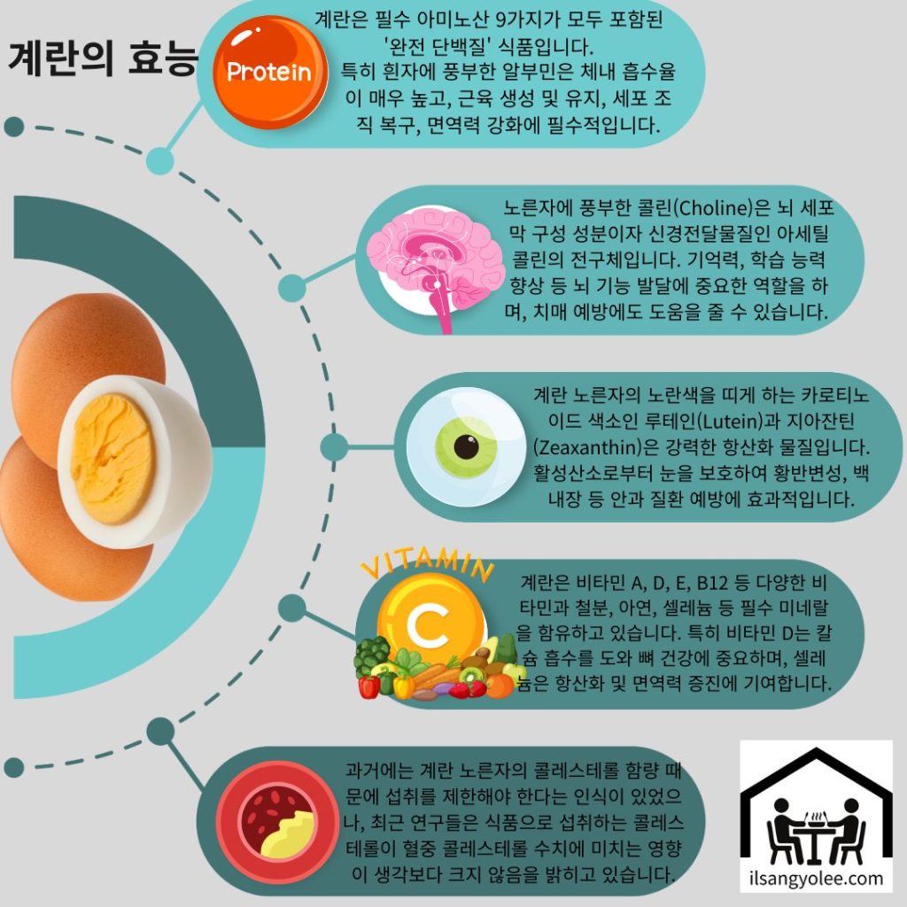 걔란의 놀라운 영양과 효능 한눈에보기