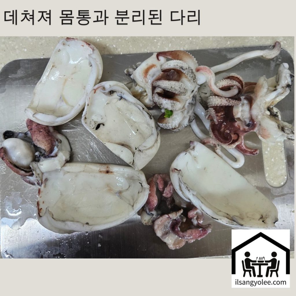  데친 후 손질된 갑오징어 몸통과 다리