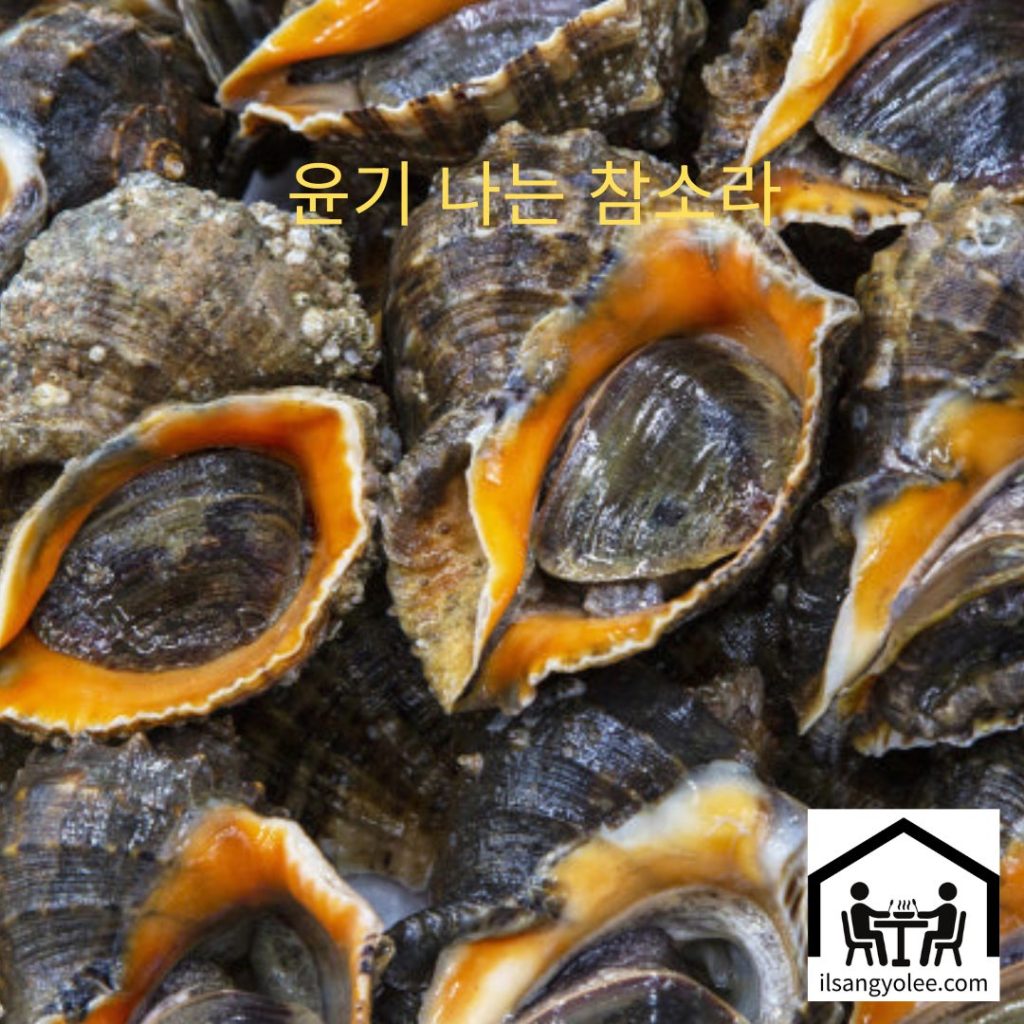 껍질이 윤기 나는 소라를 선택하세요!