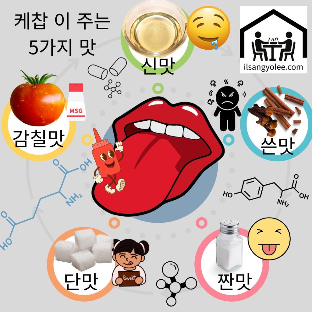 케찹의 기본 맛 5가지 한눈에 보는 인포그래픽

