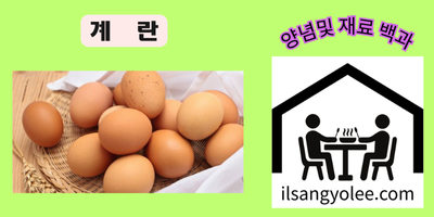 🥚 계란 완전 정복: 영양, 종류, 보관법부터 활용 팁까지 완벽 백과사전