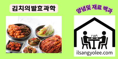 🔬 김치의 발효과학: 미생물이 빚어내는 한국인의 맛과 건강